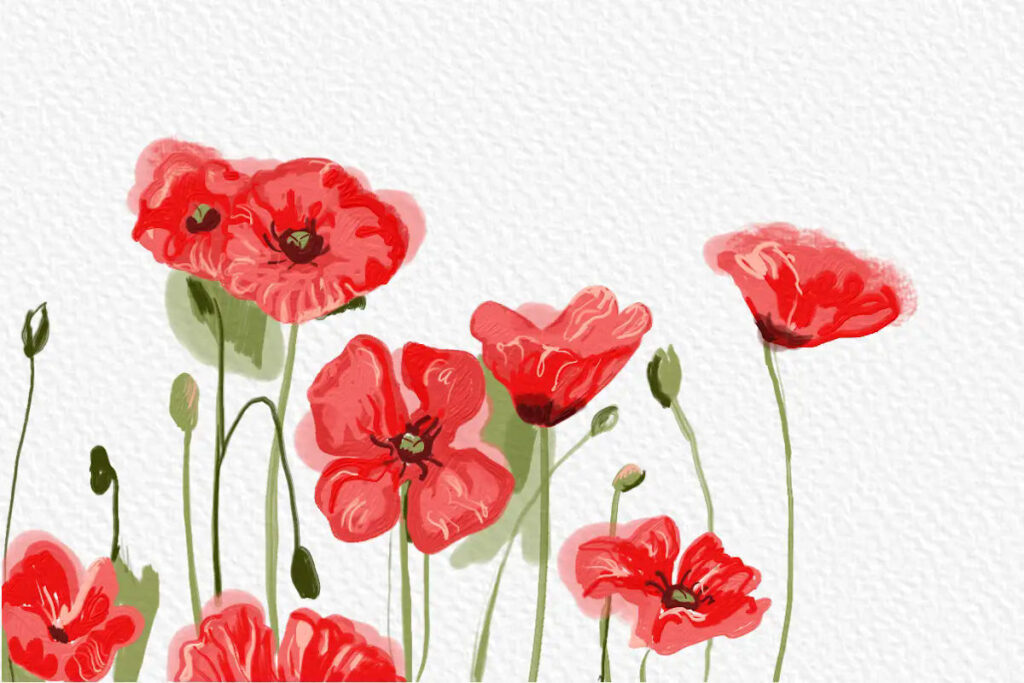 Rosso Papavero