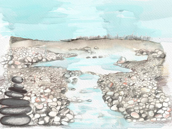 Fiume Tagliamento