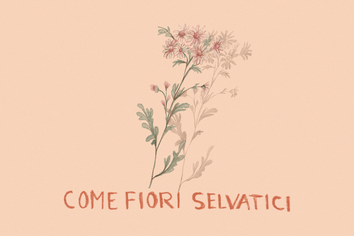 come fiori selvatici