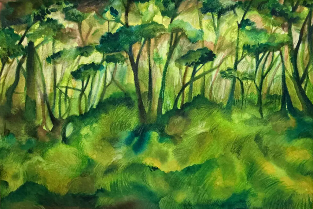 vegetazione selvaggia