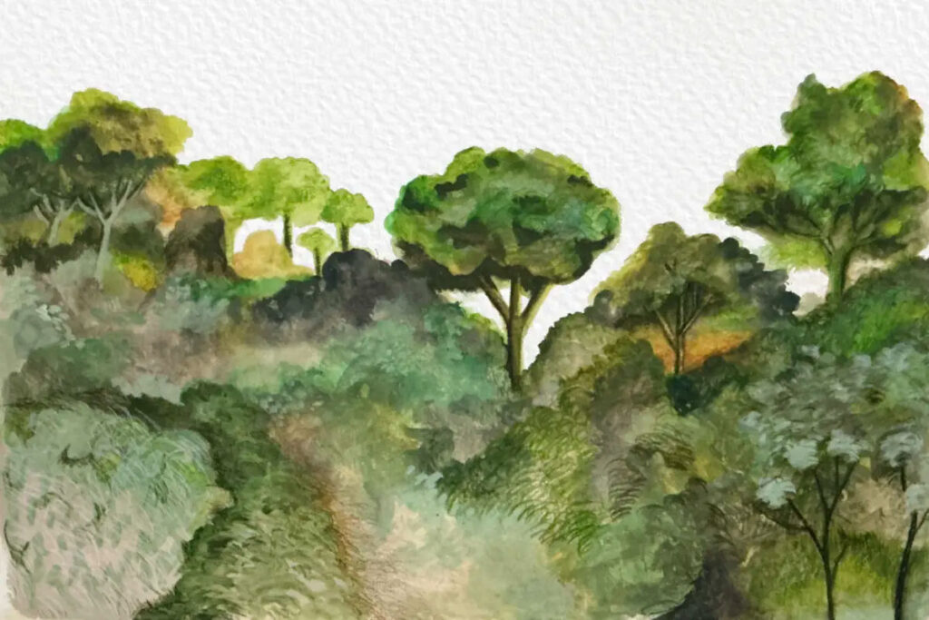 vegetazione selvaggia