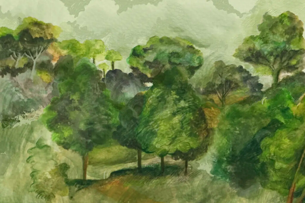 vegetazione selvaggia